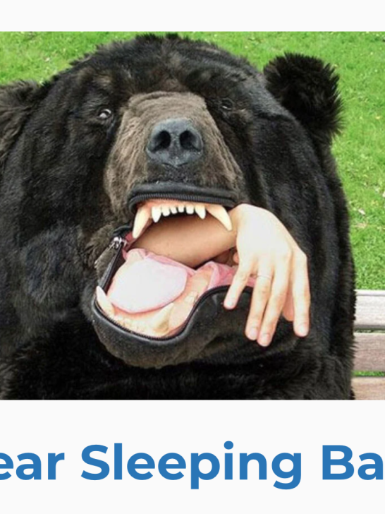 Bustin Bustin Bustin Bustin Bustin